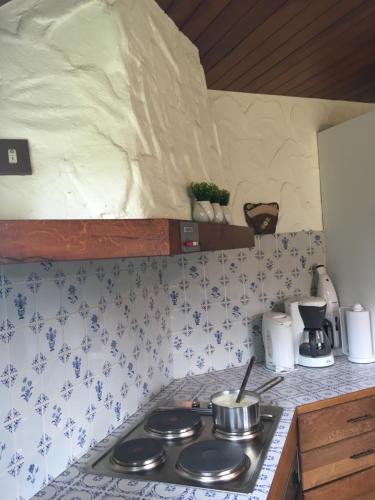 デ・パンネにあるVilla 'T Zeehuysjeの青と白のタイル張りのキッチン(コンロ付)