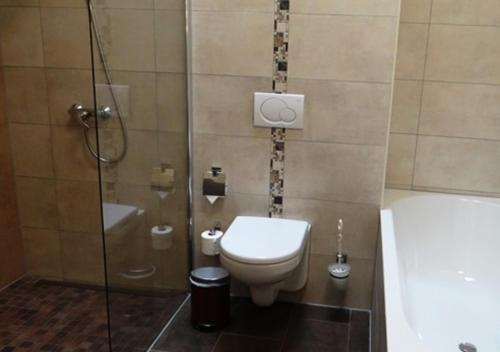 a bathroom with a toilet and a shower and a tub at Hotel und Restaurant Am Peenetal in Liepen