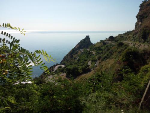 Φυσικό τοπίο κοντά σε αυτό το διαμέρισμα