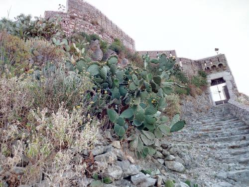Φωτογραφία από το άλμπουμ του Antico Palmento σε Forza dʼAgro