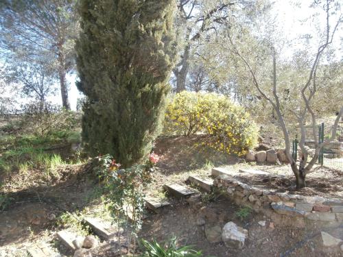 a tree with a stone bench in a garden at La Maison des Oliviers in Cogolin