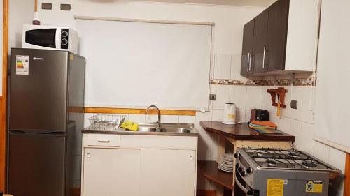 a small kitchen with a refrigerator and a sink at Cabañas Rayen in Río Bueno