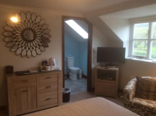 a bedroom with a tv and a dresser with a mirror at Arden Croft in Pershore