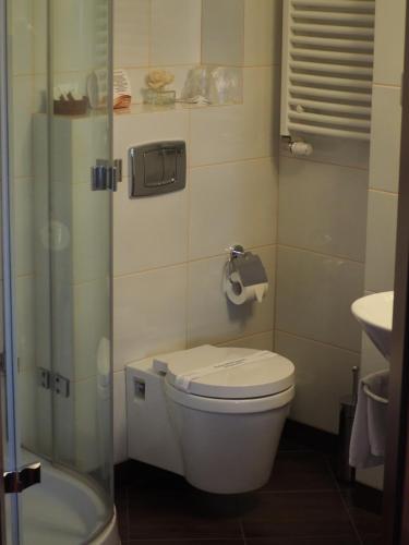 a small bathroom with a toilet and a shower at Hotel Spichlerz Lubawa in Lubawa