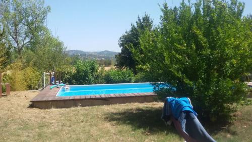 a swimming pool in a yard next to a tree at La Fratta Art - House in Marsciano