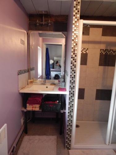 a bathroom with a sink and a shower at Gite chez Marcel et Béa in La Chapelle-Saint-Sauveur