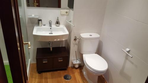 a small bathroom with a toilet and a sink at ÁTICO EN AGUIÑO(RIBEIRA) CON WIFI in Ribeira