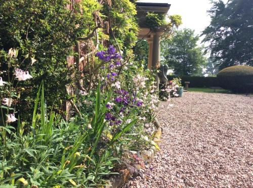 a garden with purple flowers on the side of a building at Mid Wales Arts B&B in Caersws