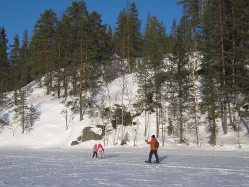 Vuorenhelmi om vinteren