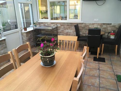 a wooden table with a potted plant on top of it at Bedrock Lodge in Bristol