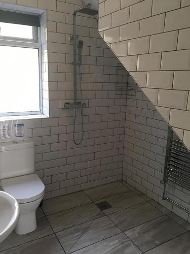 a bathroom with a shower and a toilet and a sink at Bedrock Lodge in Bristol