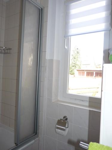 a bathroom with a shower with a window at Haus Am Friedrichsbach in Pöhla