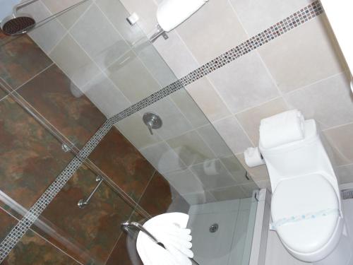a bathroom with a white toilet and a shower at Baja Inn Hoteles Rio in Tijuana