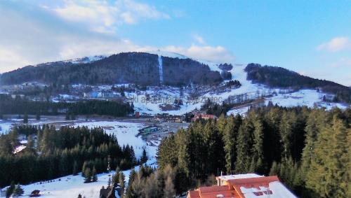 a view of a mountain with snow and trees at Ski apartmány Spiežovec Donovaly in Donovaly