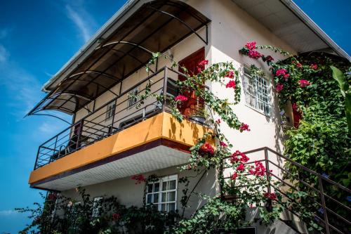 Foto dalla galleria di Sun Havens Apartments & Suites a Bocas del Toro