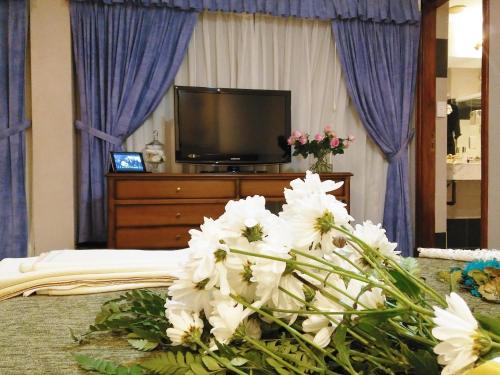 TV i/ili multimedijalni sistem u objektu Hotel Irun