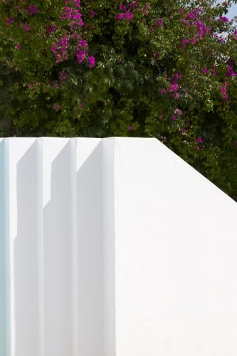 a man standing behind a white fence with pink flowers at Kouros Village in Antiparos Town