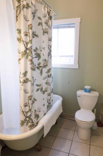 a bathroom with a toilet and a shower curtain at Sauerdough Lodging in Seward