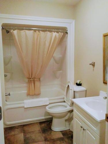 a bathroom with a toilet and a shower and a sink at Rothesay Motel in Rothesay