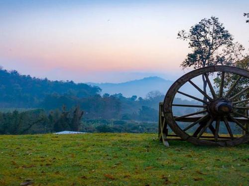an old wagon wheel sitting on top of a field at Phu Pha View Doi in Samoeng