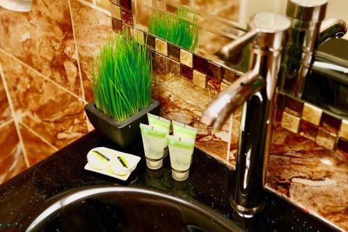a bathroom sink with some green plants in cups at Yakana Hotel in San Pedro de Atacama
