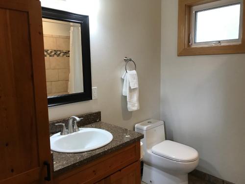 a bathroom with a sink and a toilet and a mirror at Hoh Valley Cabins in Forks