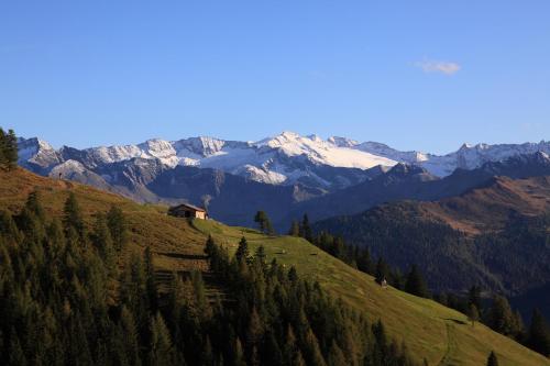 a house on a hill with mountains in the background at Naturhaus Andrea in Grossarl