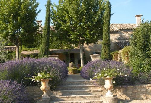 a garden with lavender bushes and stairs in front of a house at Villa Grenache, La Bastide de Marie, Villa avec services in Ménerbes