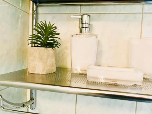 une étagère dans la salle de bains avec un distributeur de savon et une plante dans l'établissement Apartments Ruza, à Kaštela