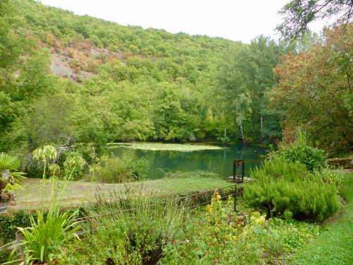 a pond in the middle of a garden at Moulin de Latreille in Calès