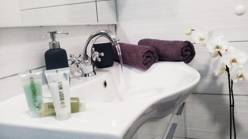a bathroom sink with a faucet and flowers on it at Apartman Marja - Studio in Njivice