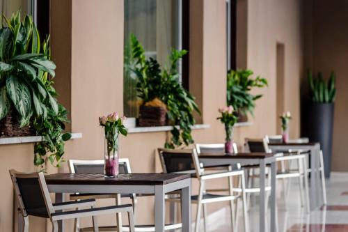 a row of tables and chairs with potted plants at Eurostars Roma Aeterna in Rome