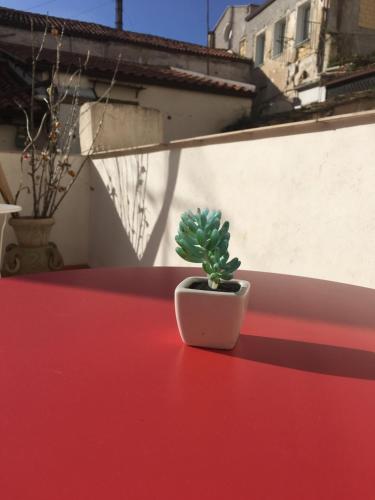a small cactus sitting on top of a red table at Cialoma B&B in Palermo
