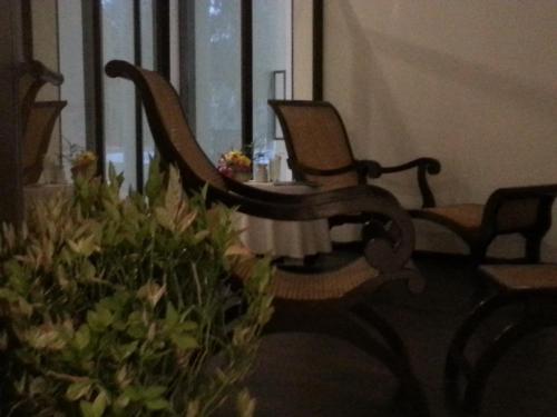 a room with two chairs and a plant at The Meadows Resort and Spa in Aurangabad