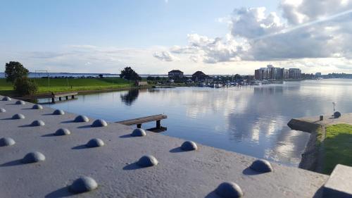 a river with a bunch of birds sitting on a ledge at Hotel Seerose in Wilhelmshaven