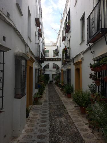 Lujosa vivienda en plena Judería