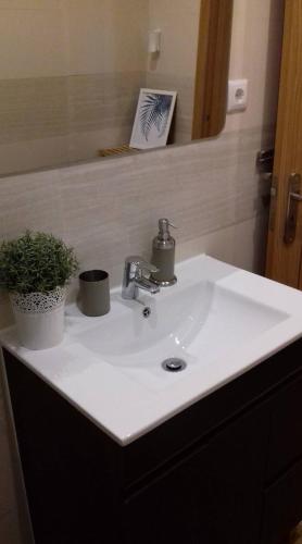 a white sink with two plants on top of it at Sonetos do Sado in Setúbal