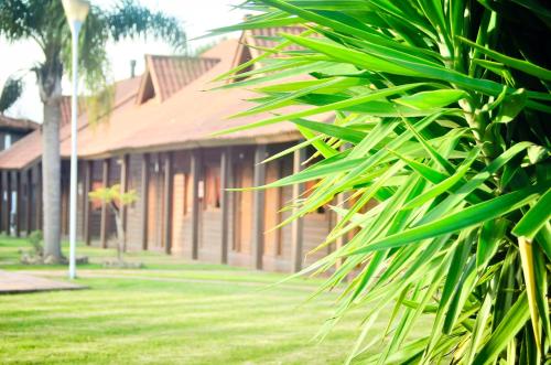 a building with a palm tree in front of it at Hotel Termal Dayman in Termas del Daymán