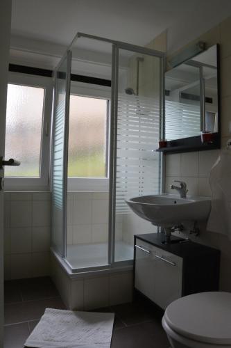 a bathroom with a sink and a glass shower at Ferienwohnung Ohanna in Bad Harzburg