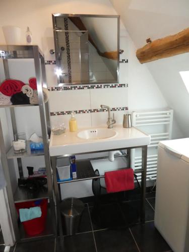 une salle de bain avec un lavabo et un miroir dans l'établissement Le Balcon De Leonard, à Amboise
