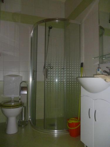 a bathroom with a shower and a toilet and a sink at Király Lovastanya Panzió in Jánoshalma