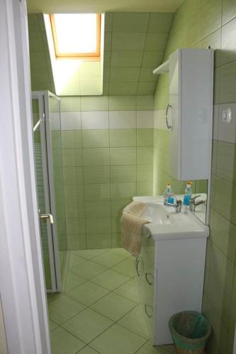 a bathroom with a sink and a shower at Király Lovastanya Panzió in Jánoshalma