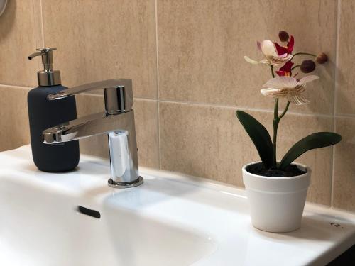 La salle de bains est pourvue d'un lavabo avec un robinet et une plante. dans l'établissement Ca la Conxita, à Organyà