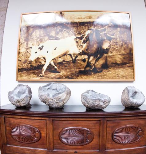 a painting of two bulls on top of a dresser at Hotel Herencia By Hosting House in Morelia