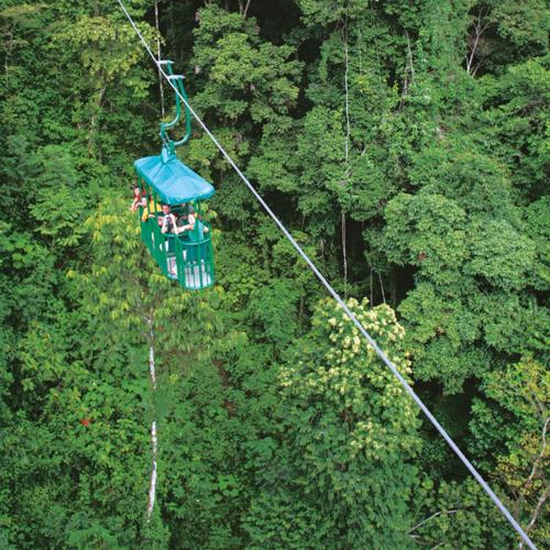 a group of people on a zip line in the forest at Finca Rosa Blanca Coffee Farm and Inn in Heredia