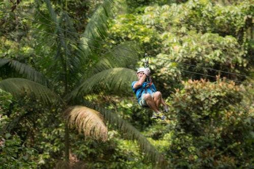 a woman riding on a zip line in the jungle at Finca Rosa Blanca Coffee Farm and Inn in Heredia