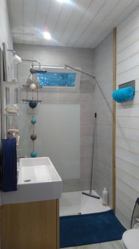 une salle de bain avec une douche avec un lavabo et une douche dans l'établissement Le champ des étoiles, à Massoulès