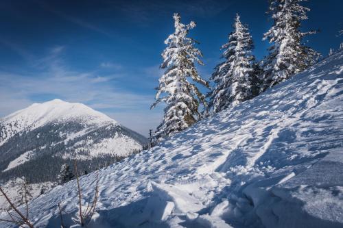 a snow covered slope with snow covered trees and mountains at Ferienwohnung Weitental in Lackenhof