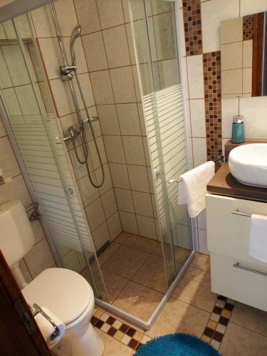 a bathroom with a shower with a toilet and a sink at László Nyaralóház in Balatonfenyves