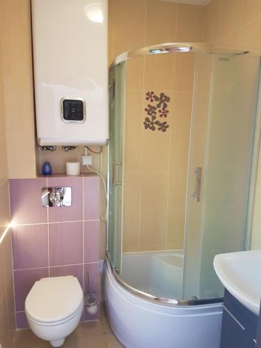 a bathroom with a shower and a toilet and a sink at Noclegi na Zaciszu in Kąty Rybackie